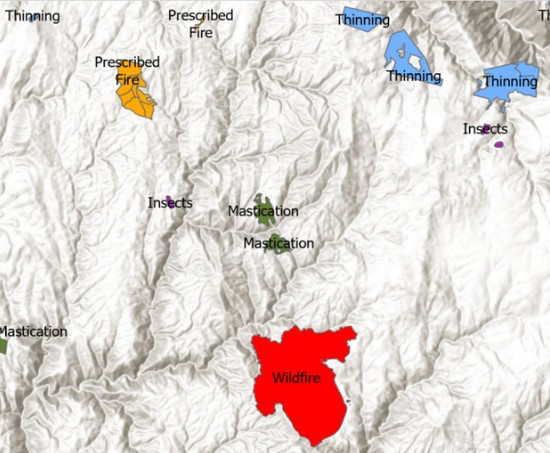 Map showing polygons for disturbance and treatment areas