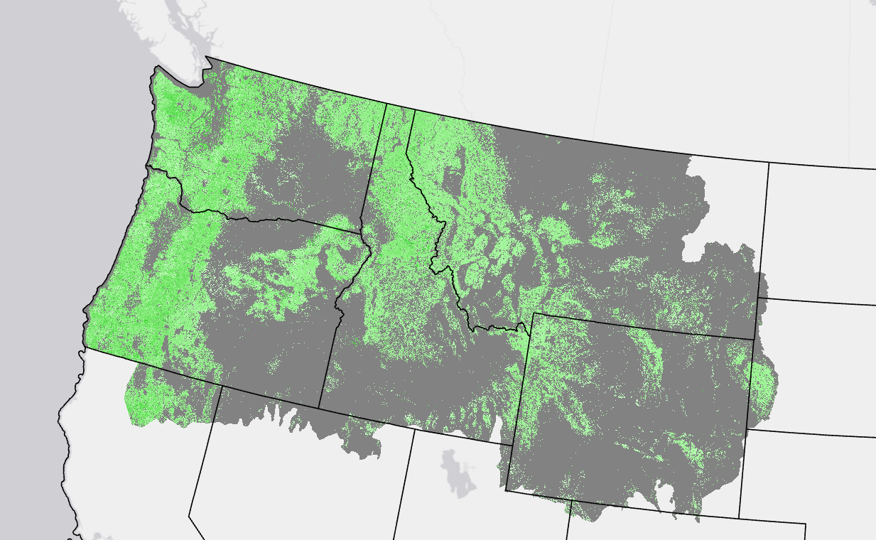 Image showing canopy height over the upper NW corner of the U.S.