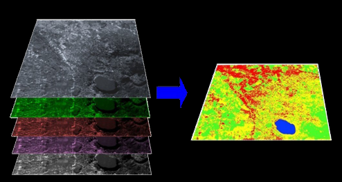 Lidar data used for canopy structure mapping