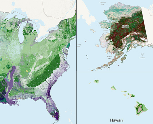 Multiple Extents Ready Made Graphics Download